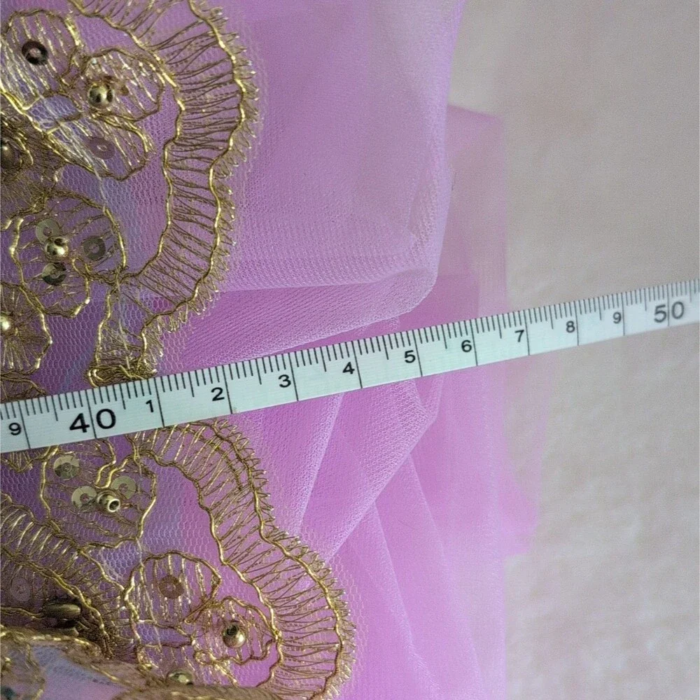 Blue Purple Ombre Tutu Dance Dress - Gold Sequin Lace Royalcore Fairy Costume SC